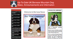Desktop Screenshot of bernesenews.btck.co.uk